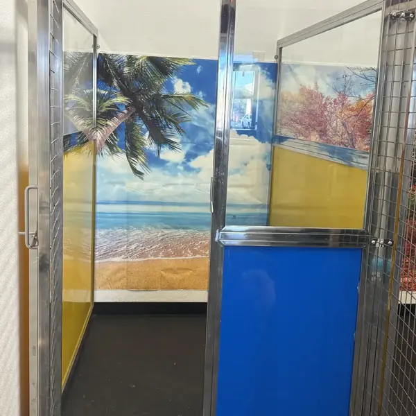 Boarding room at K9 Rox Club